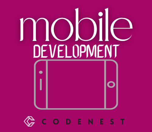 Web Development Projets